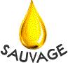 sauv3.gif